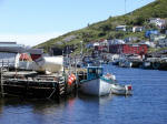 Petty Harbour 3